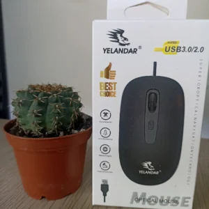 Mouse