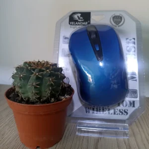 Mouse Inalambrico